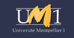 Université Montpellier 1 : recrutement d’un adjoint technique de recherche et de formation