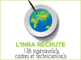 Recrutements INRA 2012 : 8 postes à Montpellier 